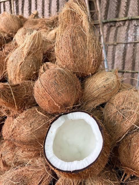 Coconut