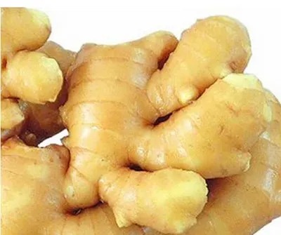 Ginger