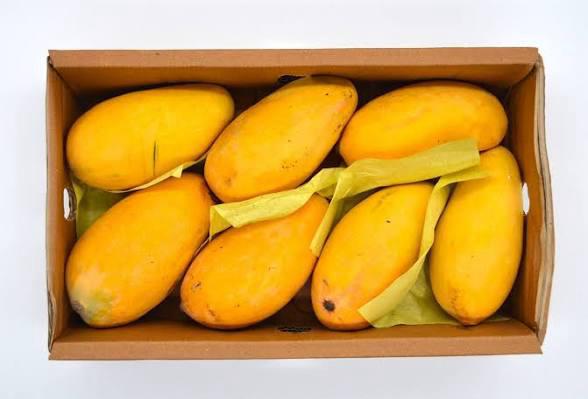 Mango